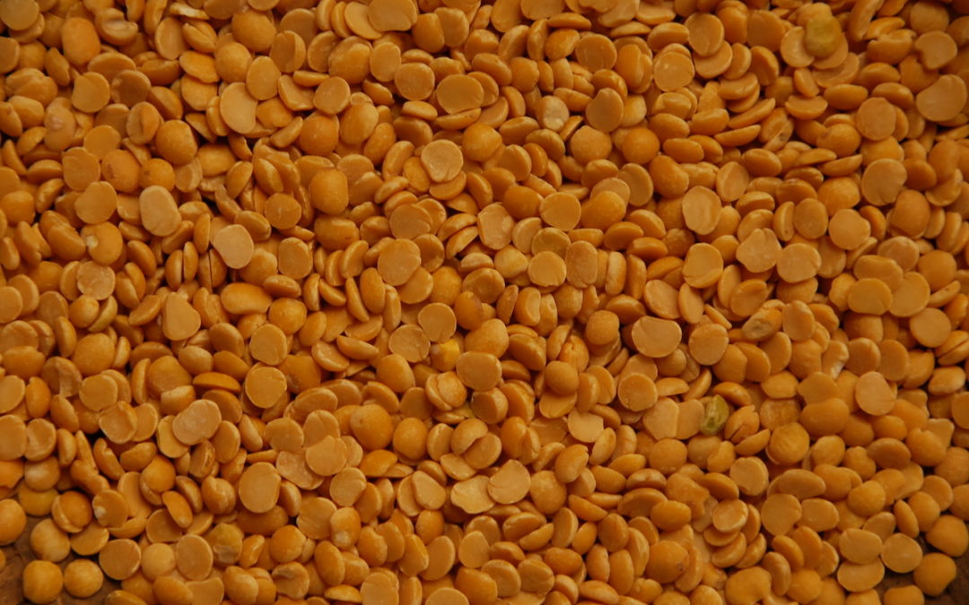 Pulses, protein and pricing policy